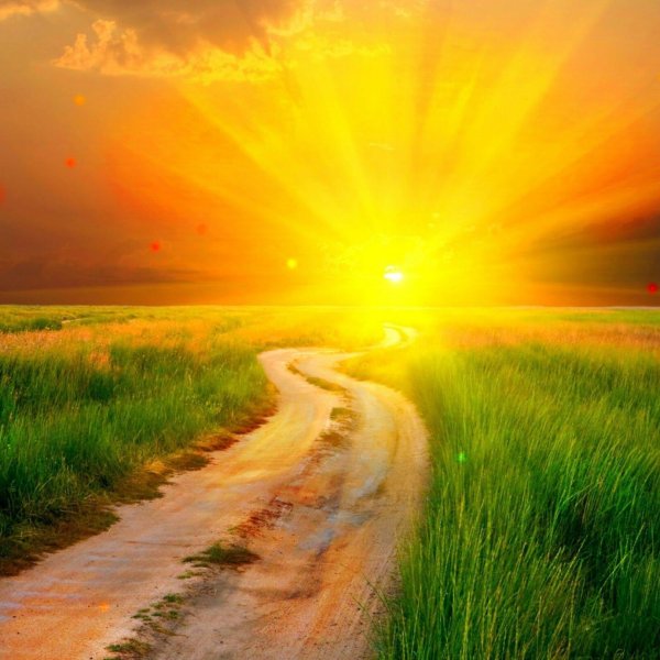 Солнце на дороге