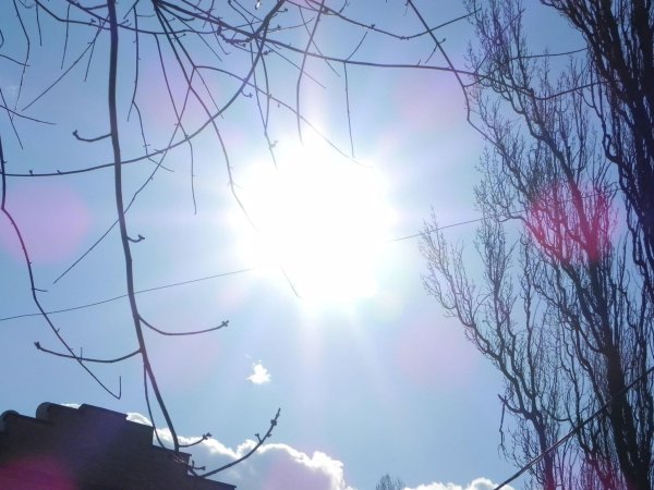 Весна солнце