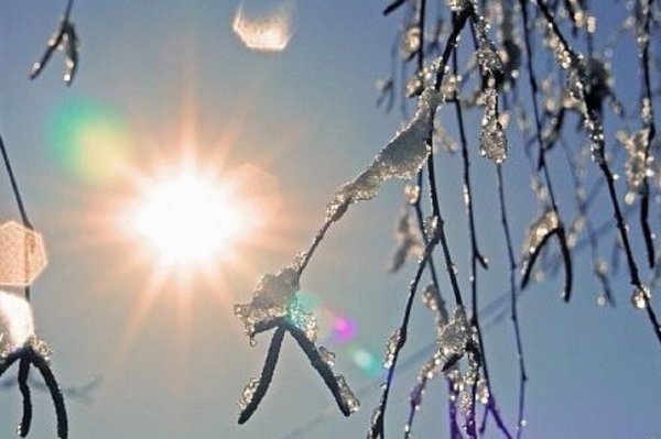 Солнечное утро Весна