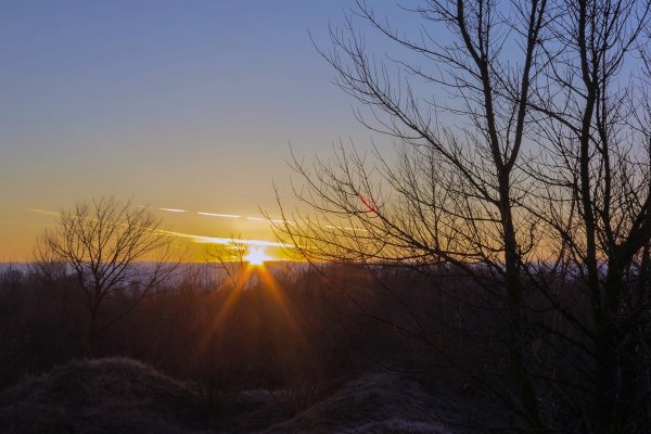 Солнце весной