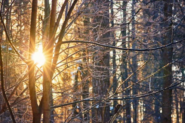 Рассвет весной