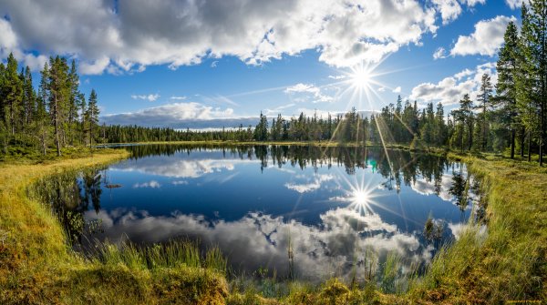 Солнце в озере