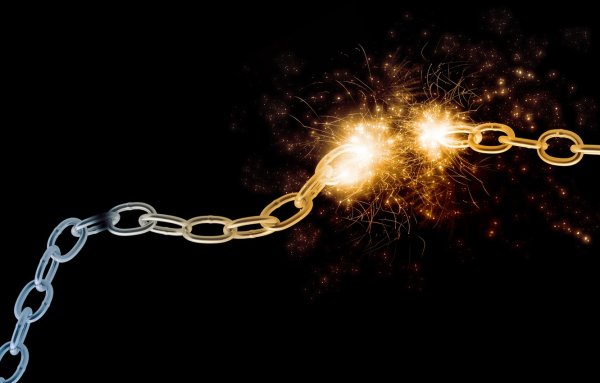 Пищевые цепи для дошкольников