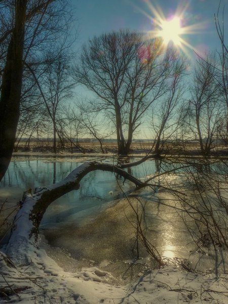 Ранняя Весна в городе