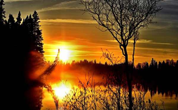 Закат естественный