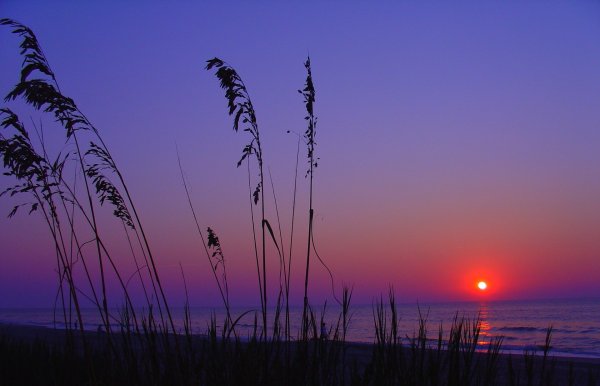 Природа закат