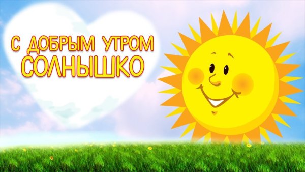 Котёнок и солнышко