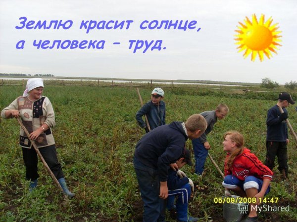 Землю красит солнце а человека труд