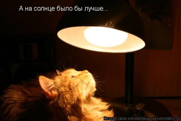 Спи солнышко
