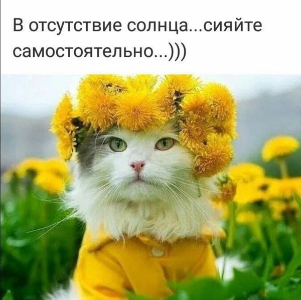 Солнце хорошее настроение