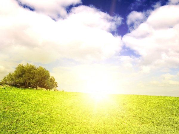 Лето солнце