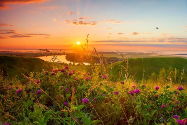 Доброе утро рассвет