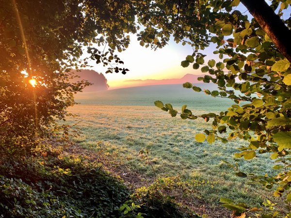 Рассвет туман