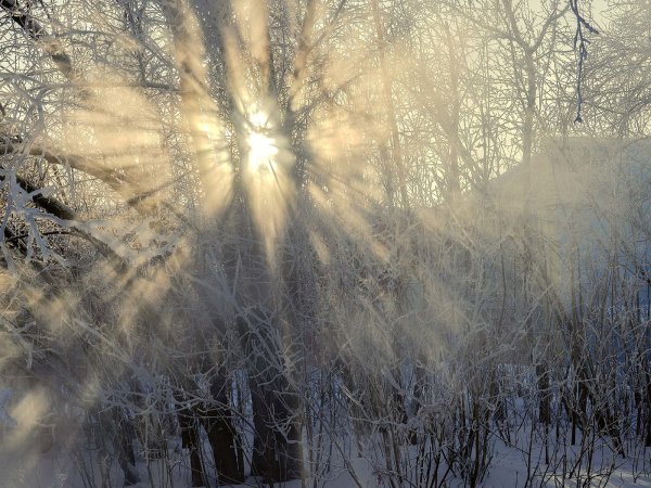 Солнечно и морозно