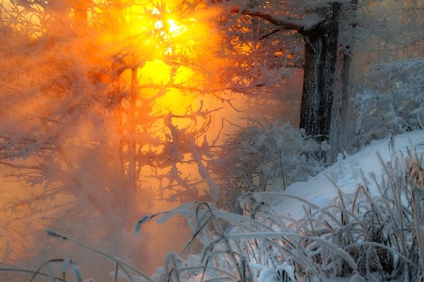 Морозный день