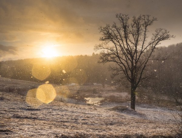 Вьюга и солнце