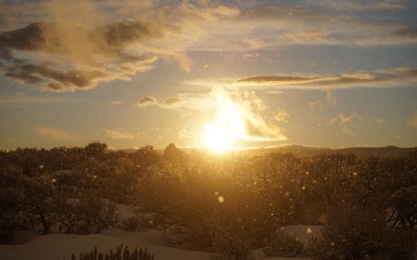 Метель и солнце