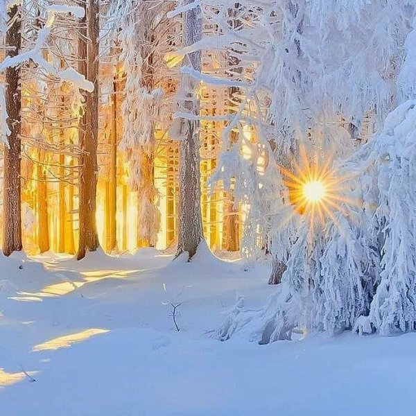 Морозное солнышко