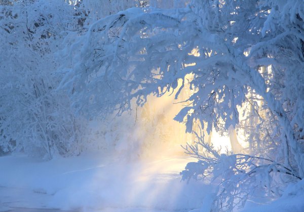 Зима метель