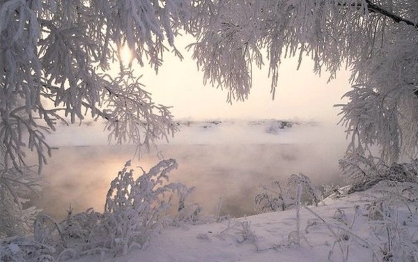 Зимний пейзаж метель