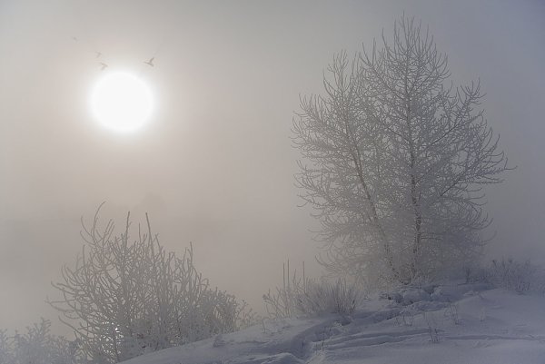 Морозная дымка