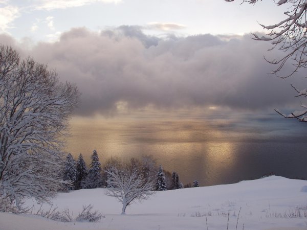 Пасмурное зимнее утро