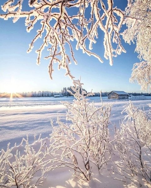 Мороз и солнце