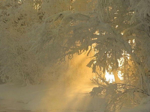 Зимний пейзаж