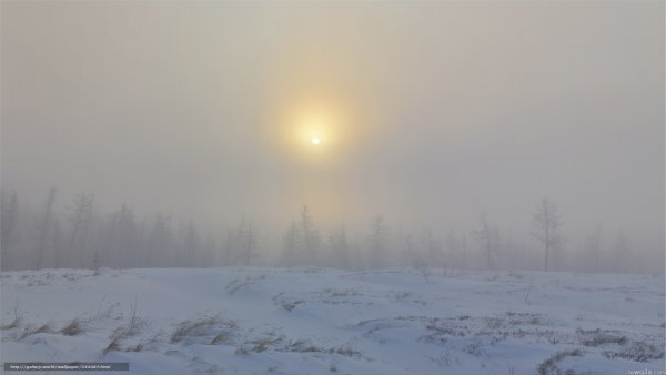 Зимнее солнце в дымке