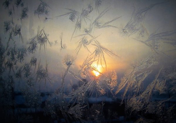 Зимнее солнце в окне