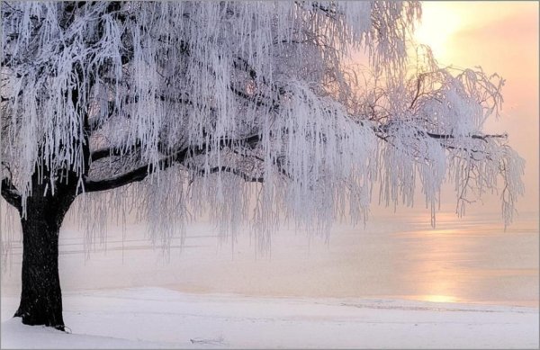 Снег блестит и сверкает на солнце