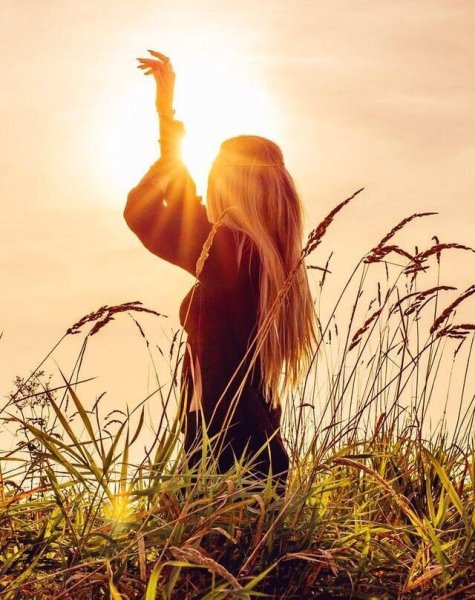 Елена Тарханова