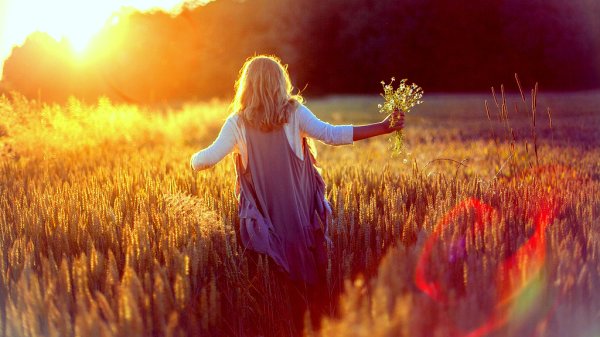 Волосы природа