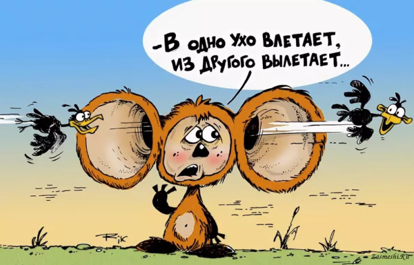 Мелочь пузатая в прямом смысле