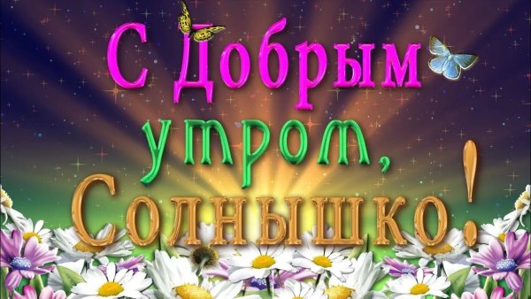 Доброе утро солнышко