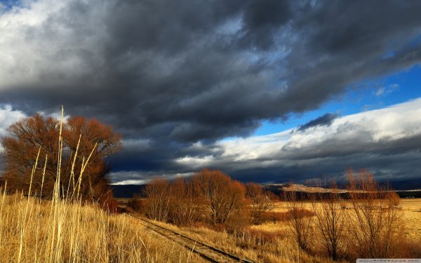 Осенний дождь на окне