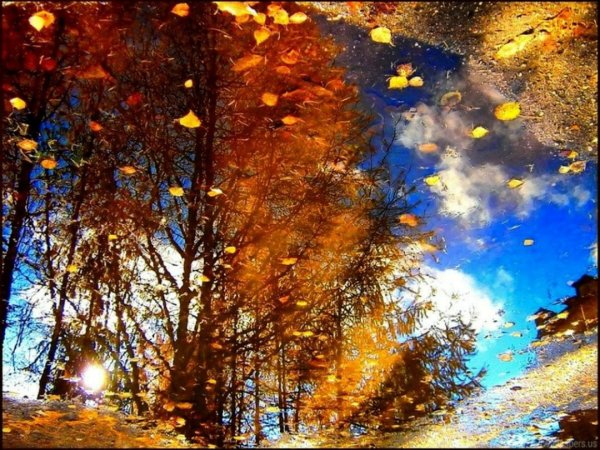 Пасмурное летнее утро