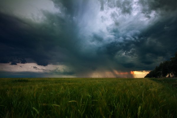 Лето дождь гроза