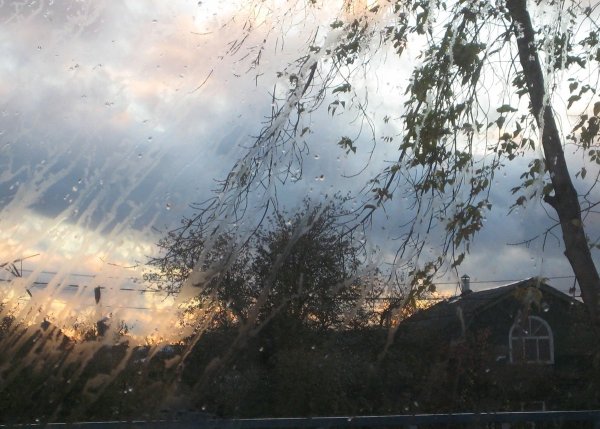 Пейзаж на тему пасмурный день