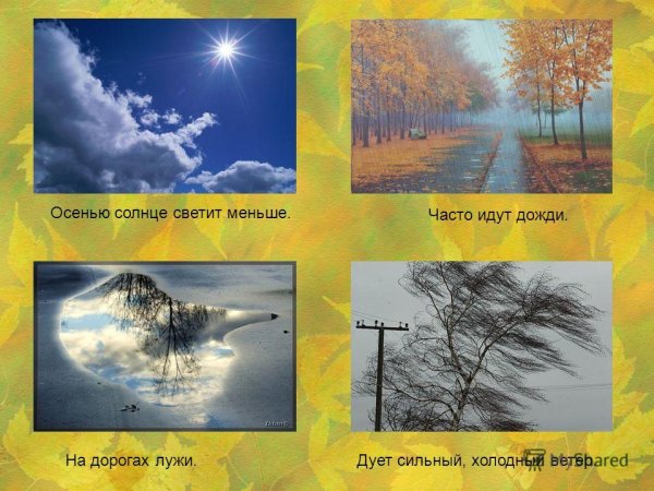 Дождь в степи