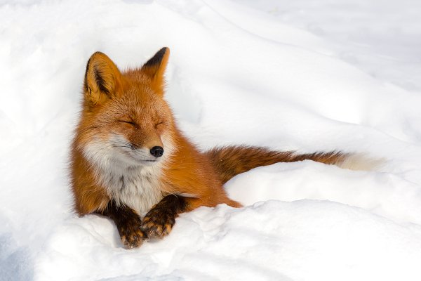 Сергей горшков объятия