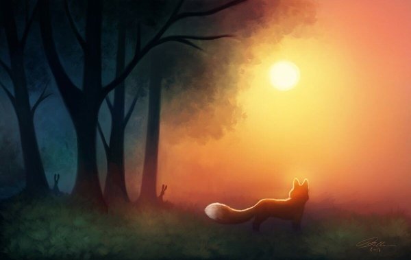 Лиса на солнышке