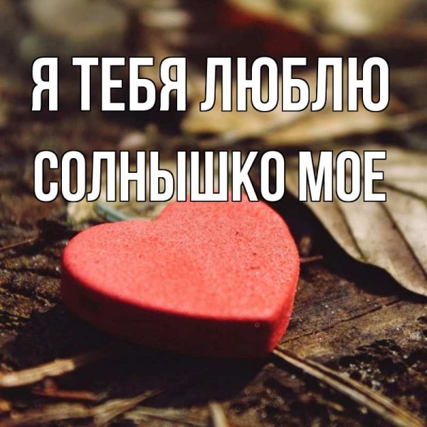 Люблю тебя солнышко