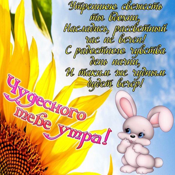 Открытки с добрым утром любимая