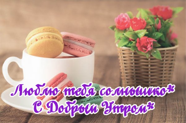 Доброе утро солнышко