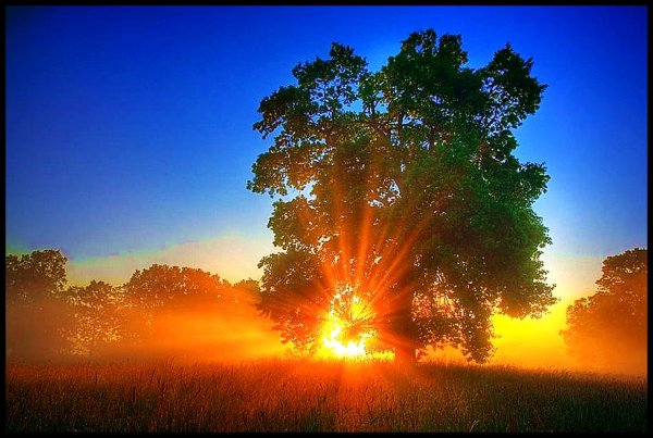 Утро солнце новый день