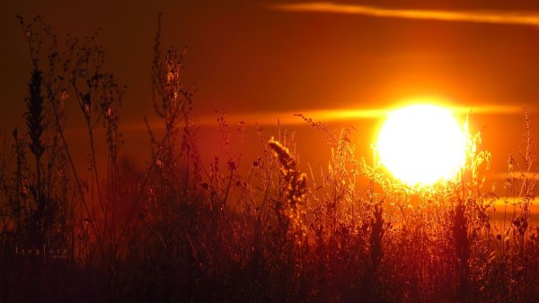 Закатный свет