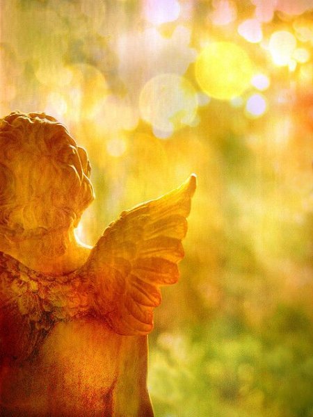 Ангел солнца