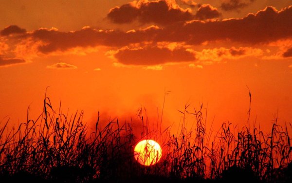 Красное солнце