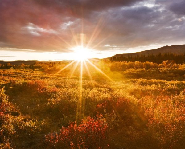 Лучи восходящего солнца